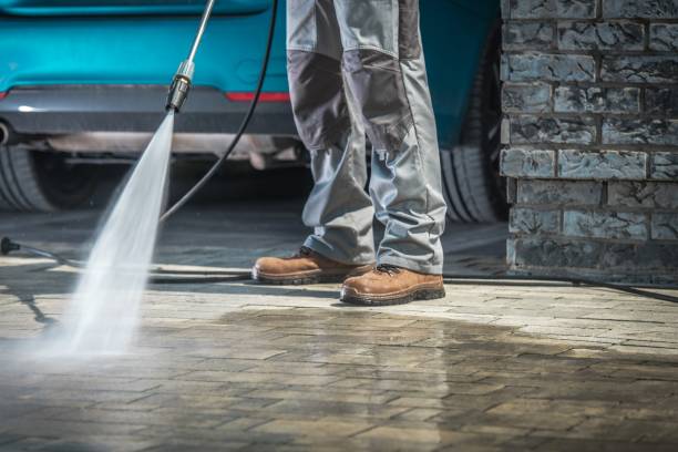 Best Driveway Pressure Washing  in Neosho, MO